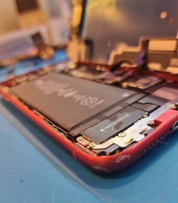 WhatsApp Image 2026-09-14 at 09.01.28 (1)
